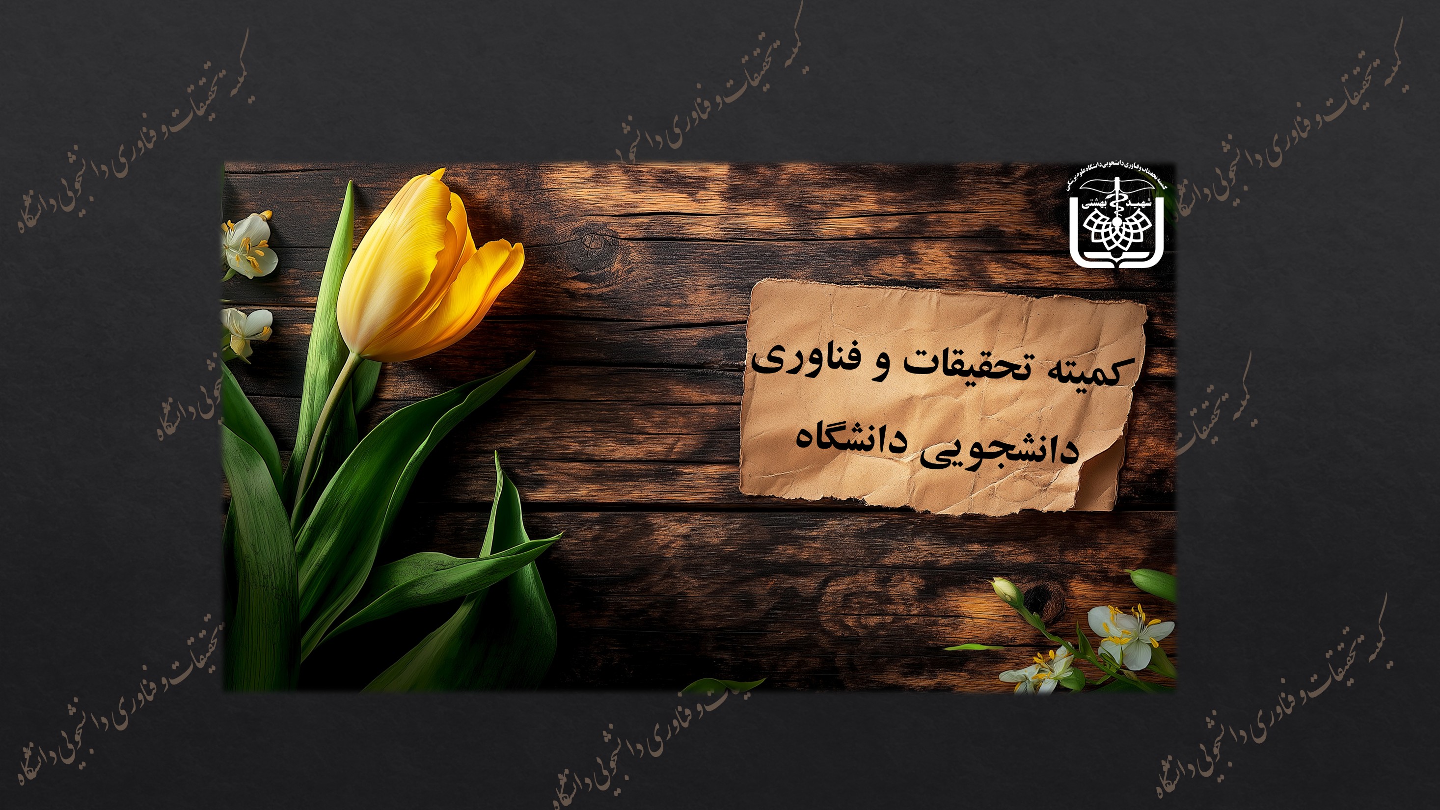 اسلایدر